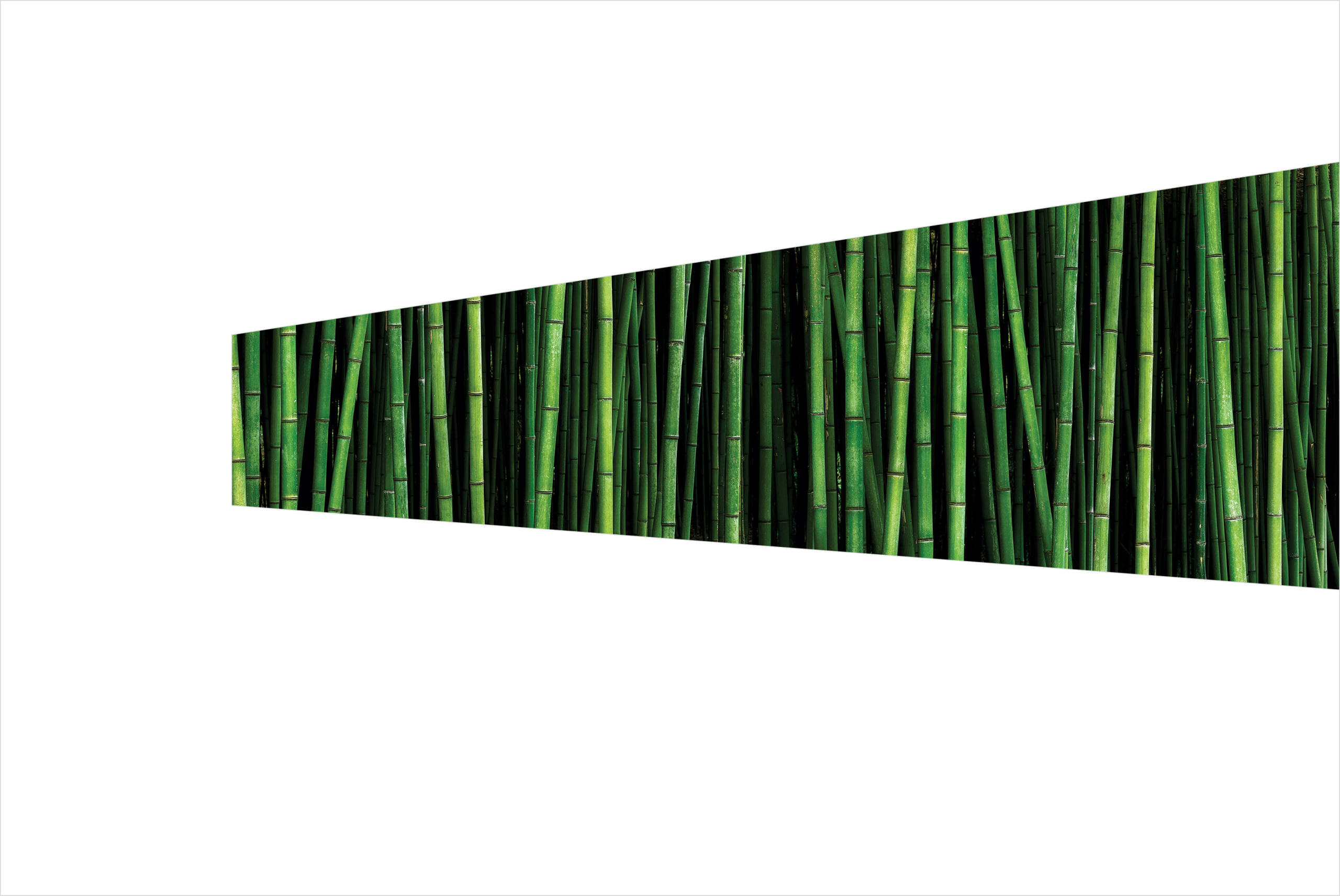 11 - Bamboo Wall With Depth