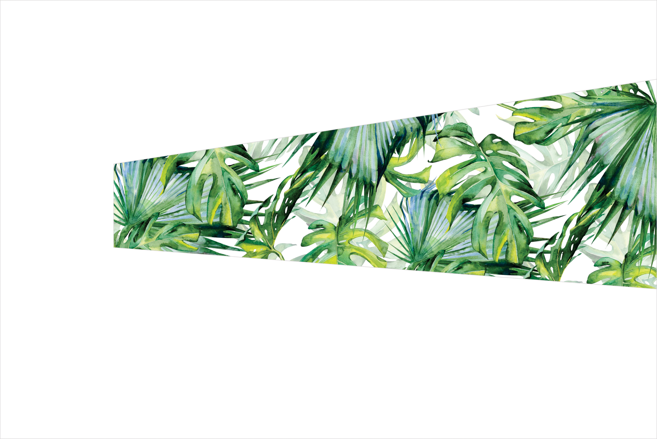 3 - Mixed Palm Fronds On White With Depth