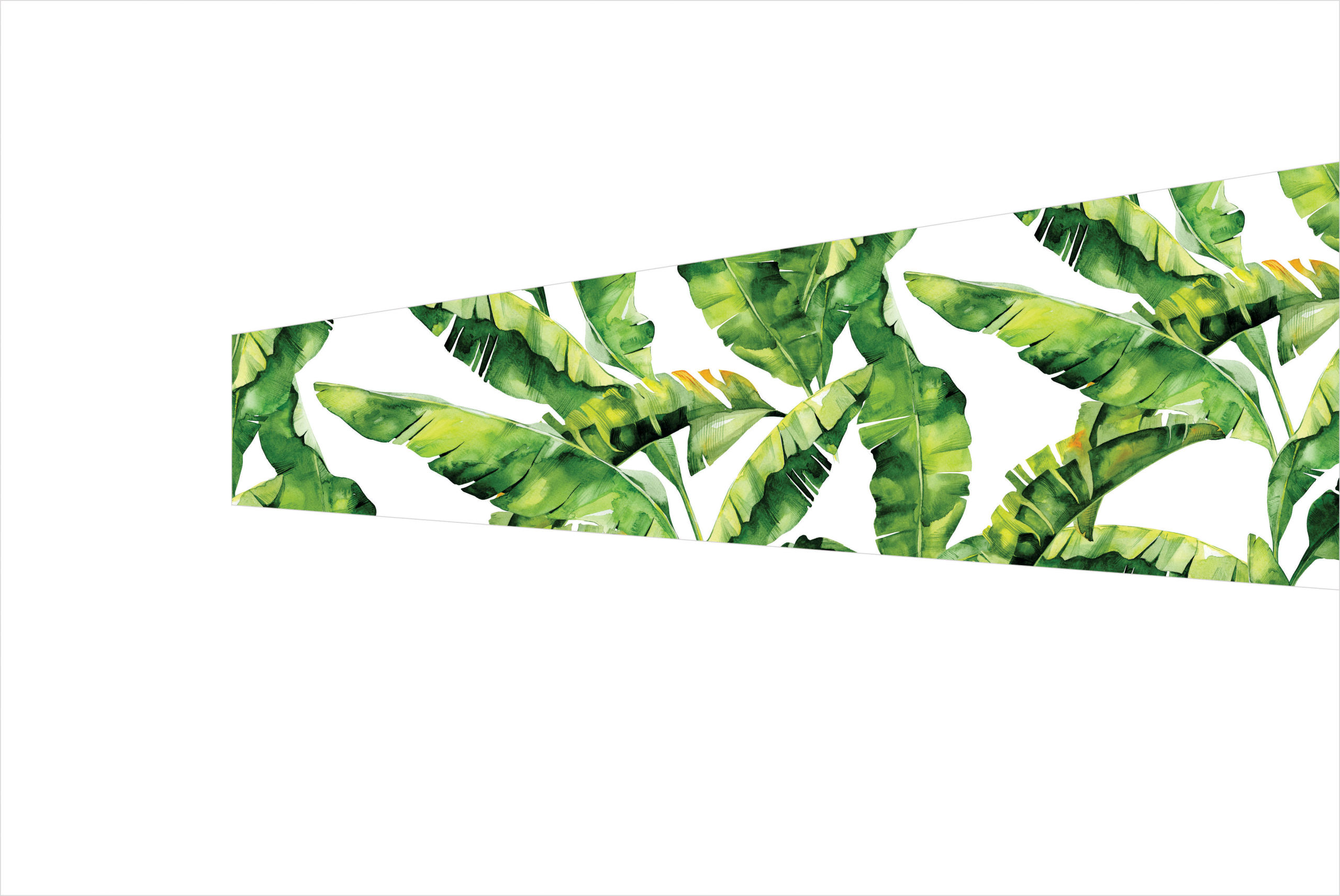 7 - Palm Leaves On White