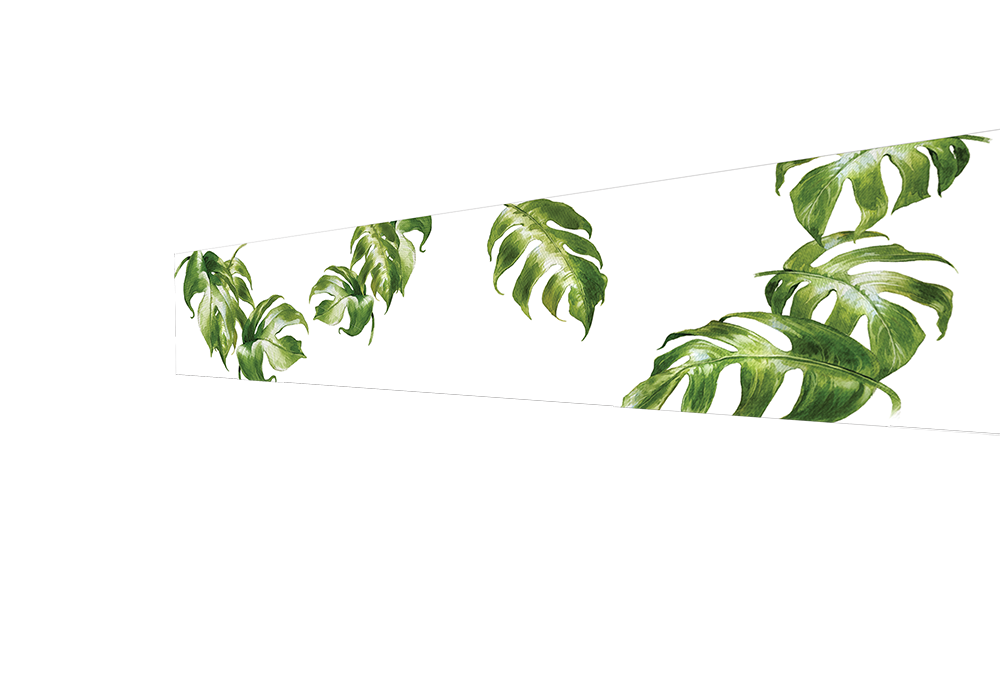 20 - Single Palm Leaves on white background