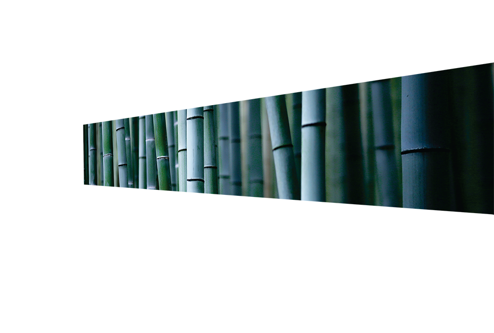 18 - Bamboo Large 