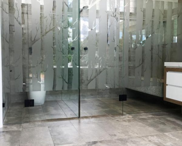 Frameless In line shower screen with hinged door and sandblasted design